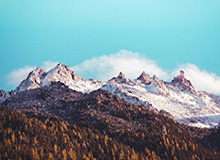 世界杯高清赛事直播-康查尔12+10+10普尔34分 爵士不敌鹈鹕10连败